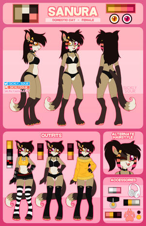 Complex Ref / 3 Outfits / Accessory Panel